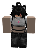 TheArmanGamerYT