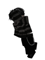thedistroier1234